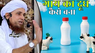 Gae Ka Doodh Kaise Bana | Mufti Tariq Masood | Islamic Deeniyat |