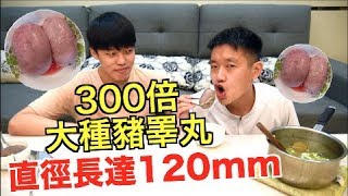 【狠愛演】300倍大種豬睪丸！！『直徑長達120mm』