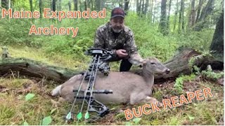 Maine Expanded Archery doe #2 - Buck Reaper