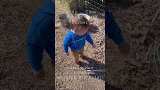 Koda Man LOVES Feeding All His Pals. Start Em Young!! #homesteading #smallfarm #organicfarming