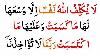 Surah Al Baqarah Last 2 Aayats.