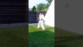 nunchaku seiyunchin kata style shortvideo