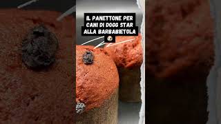 Bauttone il panettone per cani by Dogg Star www.doggstar.it #doggstar