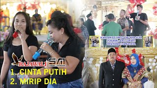 cinta putih & mirip dia. om rajawali musik acara bapak Edi desa keban 2