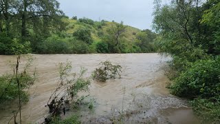 así de crecido esta el río mixteco en san juan mixtepec por las fuertes lluvias del huracán John