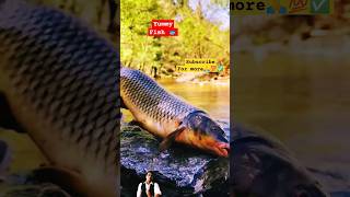 Cooking_carp_in_primitive_mud_and_leaves 🐟 😋🤤।।Ep-09 Outdoor_cooking 🌿।।#reactionvideo #shortfeed