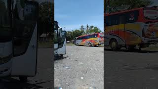 bus anugerah 1836 skyliner