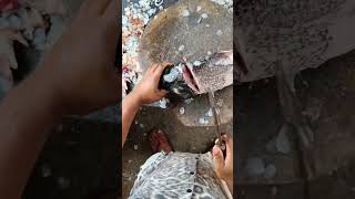 Amazing fish Skills _fish katla cutting live!!dawdi Mahesh machi shop#share #short #shorts #fish