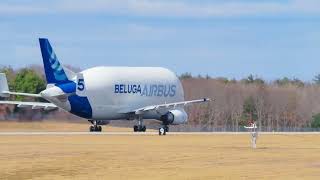 Airbus Beluga | KPSM | Departure