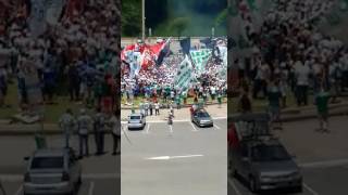 Tragédia com chapecoense uni as quatro maiores torcidas de São Paulo