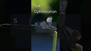 Tax Optimization