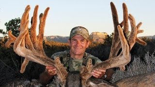 300 inch GIANT Mule Deer from AZ Strip