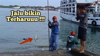 Baronang JALU tarikannya bikin Terharu