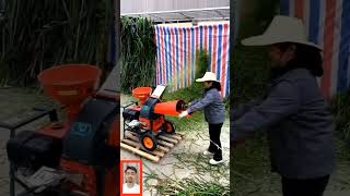 Chaff Cutter Machine l चारा काटने की मशीन #chaffcuuter #shorts