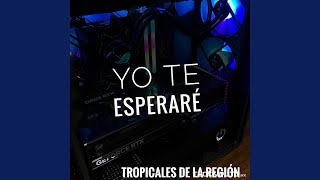 Yo Te Esperare