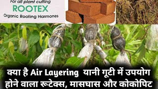 क्या है Air Layering  यानी गूटी में उपयोग होने वाला रूटेक्स, मासघास और कोकोपिट