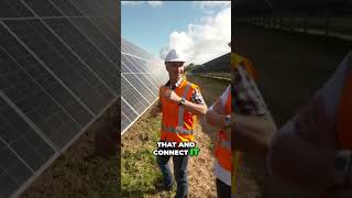 The Largest Solar Farm in New Zealand  Harnessing the Power of the Sun