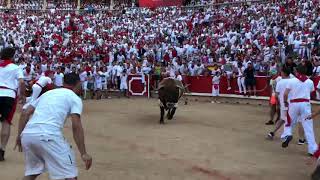 2018 Running of the Bulls - Plaza de Toros