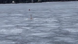 Moosehead cusk fishing