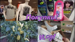 Транжира/Покупки с DM и Rossman/Покупки обуви/одежды/Большие скидки