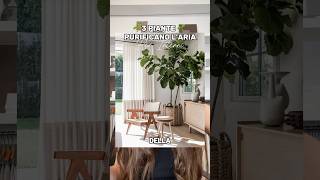 Tre piante perfette per purificare l’aria dei tuoi interni #arredarecasa #interiordesign #arredo