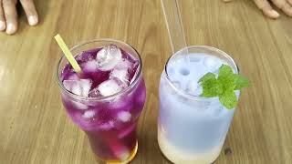 Panen Bunga Telang dan Daun Mint|| Bikin Miracle Drink dan Blue Latte||