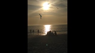 A Top 10 Beach ((Anna Maria Island, Florida) PART 2---!!! The Seagulls and the Sunset!