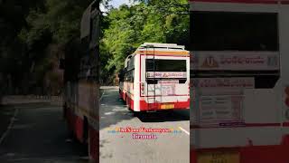 Tirumala Saptagiri Super Fast Bus, #tirumala #bus | Moving Tubes