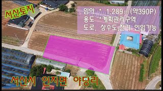 [딸기312]서산시 인지면 야당리 토지390평매매.딸기공인중개사 041.662.0880