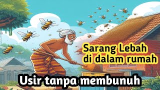 CARA AMAN MENGUSIR TAWON LEBAH DI DALAM RUMAH #lifehacks #tawon #lebah