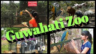 Guwahati Zoo vlogs10_ Guwahati  beautiful nature 🥺🥺