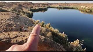 🔴LAKE AT THE MIDDLE OF THE DESERT #saudiarabia #shortsviral #reels #shortsvideo #shortsvideo