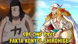 Fakta Mengejutkan Rambut Shirohige Tanpa Mengenakan Bandana! - SBS One Piece