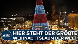 DORTMUND HAT DEN GRÖSSTEN: Der größte Weihnachtsbaum der Welt steht nicht mehr in New York!