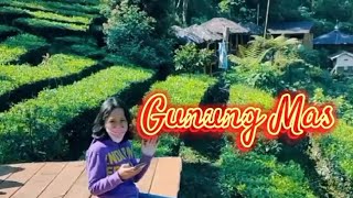 Gunung Mas #agrowisatagunungmas  #gunungmas #puncakbogor #wisatahemat #jalanbarengkinan