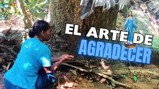 OFRENDA a la MADRE TIERRA para que BROTE AGUA 🙏🏼💦 #travel #dios#paraguay#tips #agradecimiento#agua