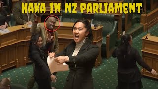 Maori Haka in NZ parliament to protest at bill to reinterpret founding treaty