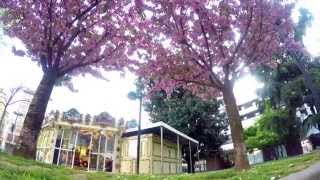 Spring in SARONNO | Motion Time-Lapse HD