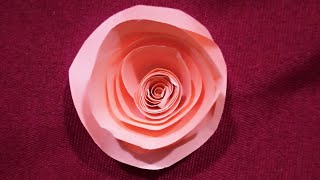 Simple & Beautiful Paper Rose 🌹