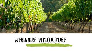 Webinaire viticulture du 09 novembre 2021