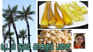 A day in Chennai vlog | நீரிழிவை கட்டுக்குள் வைக்கும் பனை மரம் | Facts about palm trees