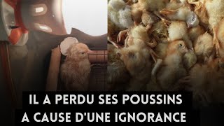 Éviter ses erreurs pour obtenir des poussins avec votre couveuse