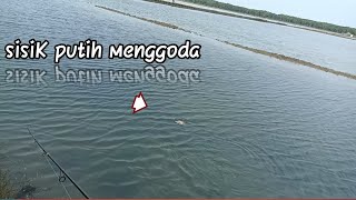 Bikin gemes kalo casting kakap||ultralight casting