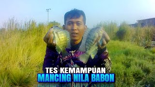 Mancing nila babon di semak lingi lingi