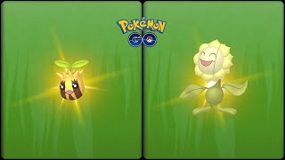 Pokemon Go: Evolving Shiny Sunkern into Shiny Sunflora