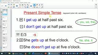 Present Simple Tense 1. (állító és tagadó alak)