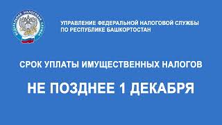 Видеоролик Срок уплаты 4 сек