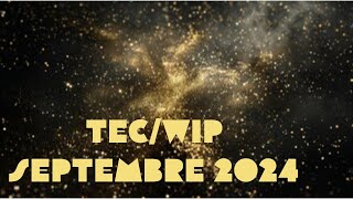 💎 TEC/WIP de Septembre 2024 #diamondpainting #dp