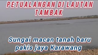 Petualangan di lautan tambak Pakisjaya Karawang Jawa Barat