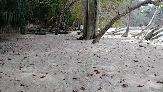 Playa Blanca, Costa Rica